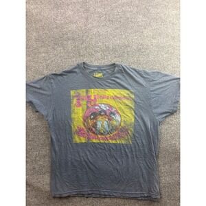 Stone Free Jimi Hendrix Experience Mens Large Gray Are You Experienced Tee